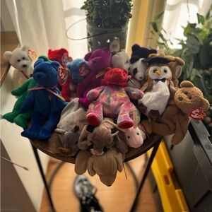Colorful TY Plush Toy Collection